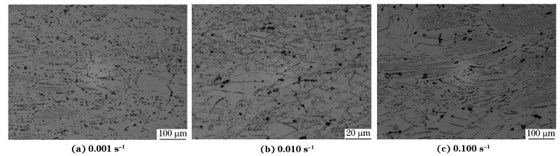 圖６ 在９８０ ℃、不同應(yīng)變速率下壓縮至應(yīng)變量為７０％后GH４１６９合金的顯微組織