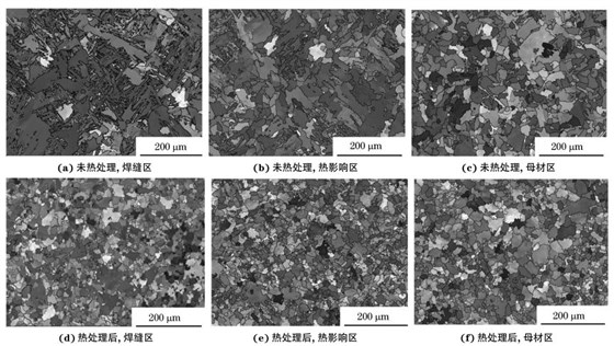 圖２ 熱處理前后焊接接頭焊縫區(qū)、熱影響區(qū)和母材區(qū)的取向成像圖