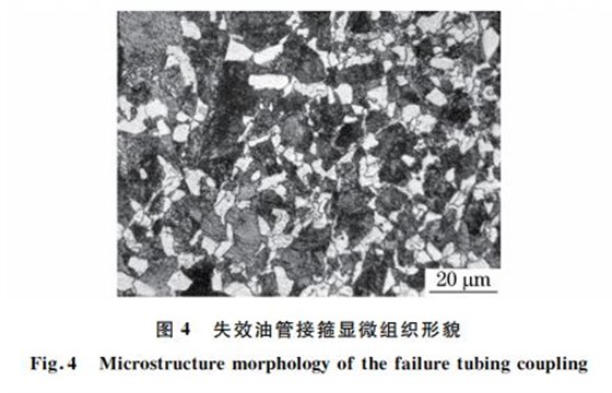 圖４ 失效油管接箍顯微組織形貌