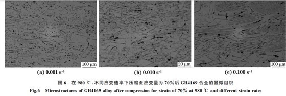 圖６ 在９８０ ℃、不同應變速率下壓縮至應變量為７０％