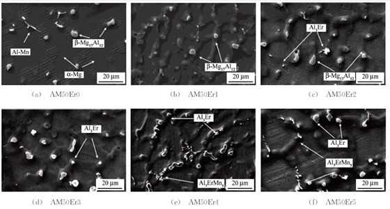 圖３ 不同Ｅｒ含量ＡＭ５０合金的ＳＥＭ 圖
