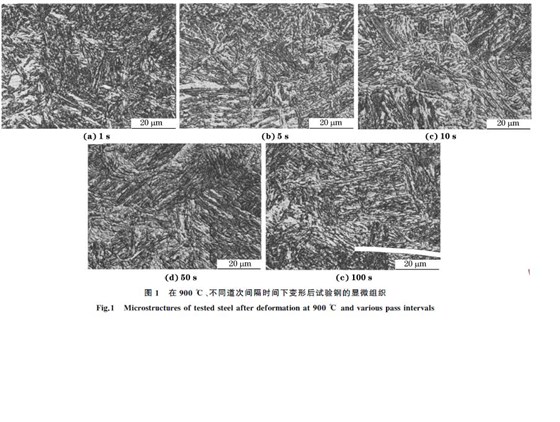 圖１ 在９００ ℃、不同道次間隔時(shí)間下變形后試驗(yàn)鋼的顯微組織