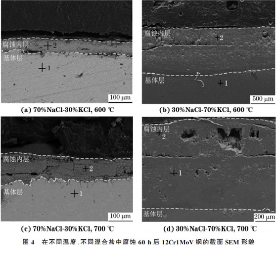 在不同溫度、不同混合鹽中腐蝕６０h后１２Cr１MoV鋼的截面SEM 形貌