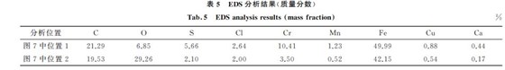 表５ EDS分析結果(質量分數(shù))