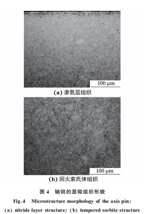 圖４ 軸銷(xiāo)的顯微組織形貌