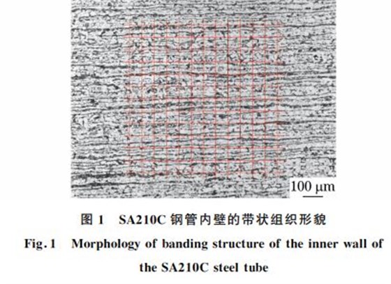 圖１ SA２１０C鋼管內(nèi)壁的帶狀組織形貌
