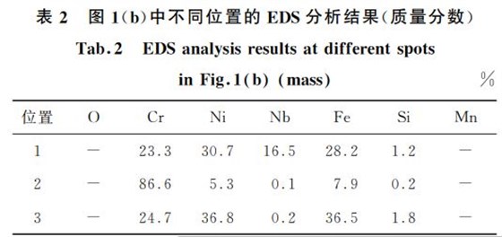 表２ 圖１(b)中不同位置的 EDS分析結(jié)果(質(zhì)量分?jǐn)?shù))