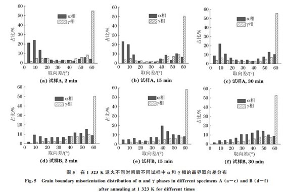 圖５ 在１３２３K 退火不同時間后不同試樣中α和γ相的晶界取向差分布