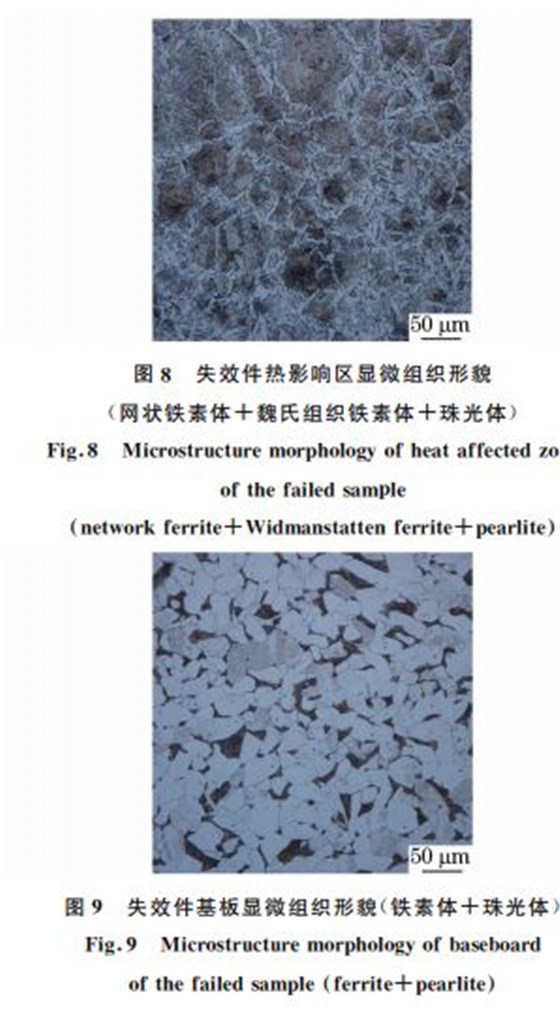 圖８ 失效件熱影響區(qū)顯微組織形貌