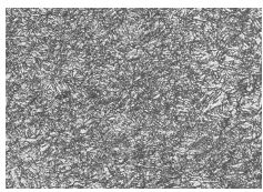 40CrNiMoA合金螺栓調(diào)質(zhì)金相組織400×