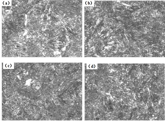 圖12-15 （a、b、c、d） 1～4號(hào)樣金相組織 500×