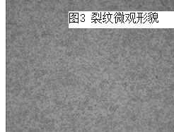 圖16-32 2#螺栓球化組織