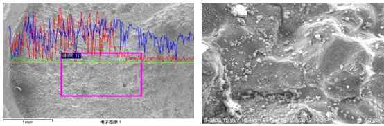 圖13-23 斷面能譜分析 斷面圓弧區(qū)微觀形貌
