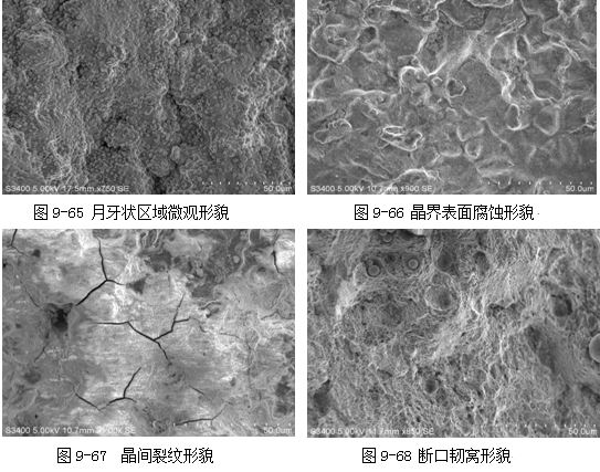 圖9-67 晶間裂紋形貌 斷口韌窩形貌