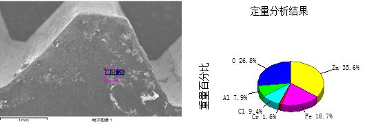 圖13-100 C區(qū)斷面形貌及能譜分析