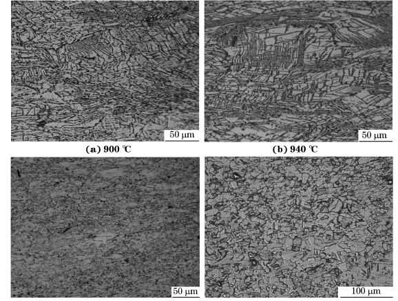 圖５ 在不同溫度、應(yīng)變速率為０．０１０s－１下壓縮至應(yīng)變量為７０％后GH４１６９合金的顯微組織