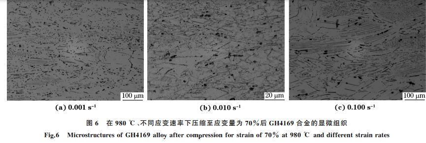 圖６ 在９８０ ℃、不同應(yīng)變速率下壓縮至應(yīng)變量為７０％