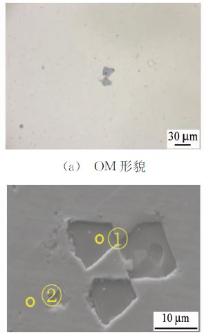 （ｂ） ＳＥＭ 形貌