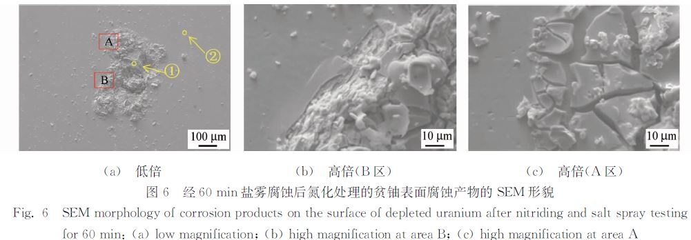 圖６ 經(jīng)６０ｍｉｎ鹽霧腐蝕后氮化處理的貧鈾表面腐蝕產(chǎn)物的ＳＥＭ 形貌