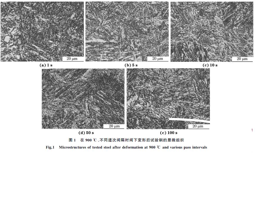 圖１ 在９００ ℃、不同道次間隔時(shí)間下變形后試驗(yàn)鋼的顯微組織