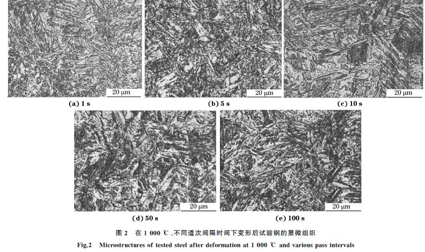 圖２ 在１０００ ℃、不同道次間隔時(shí)間下變形后試驗(yàn)鋼的顯微組織