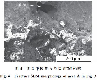 圖４ 圖３中位置 A斷口SEM 形貌