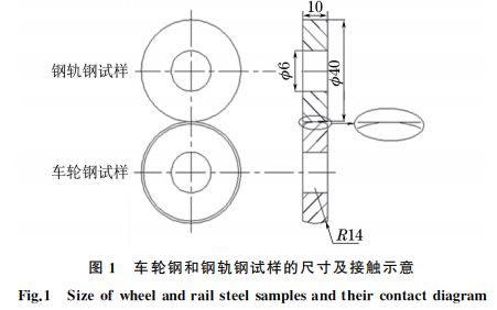 圖１ 車(chē)輪鋼和鋼軌鋼試樣的尺寸及接觸示意