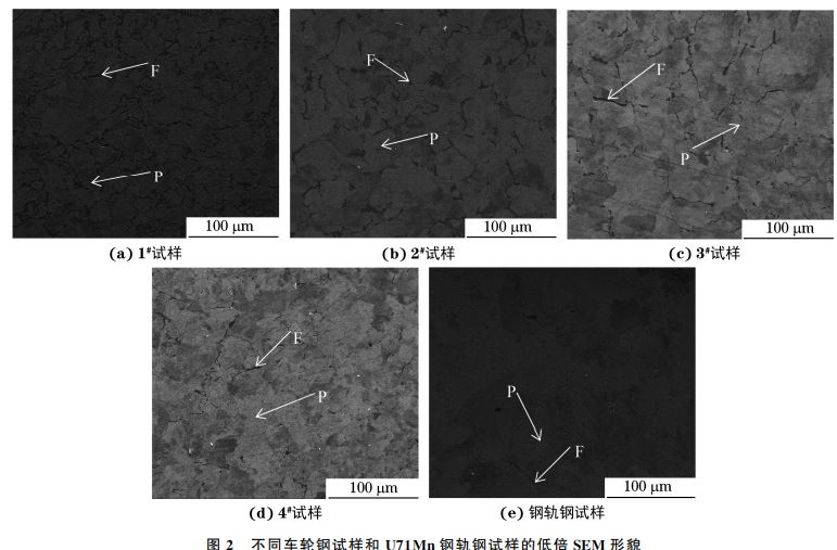 圖２ 不同車(chē)輪鋼試樣和 U７１Mn鋼軌鋼試樣的低倍SEM 形貌