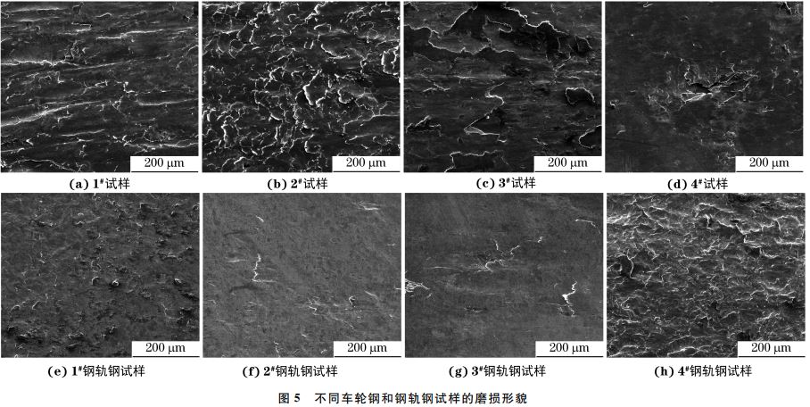 圖５ 不同車(chē)輪鋼和鋼軌鋼試樣的磨損形貌