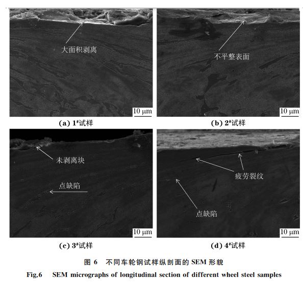 圖 ６ 不同車(chē)輪鋼試樣縱剖面的SEM 形貌