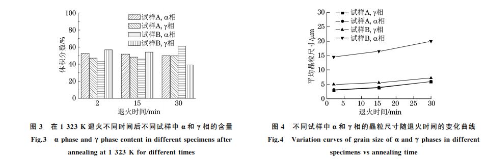 不同試樣中α和γ相的晶粒尺寸隨退火時(shí)間的變化曲線(xiàn)