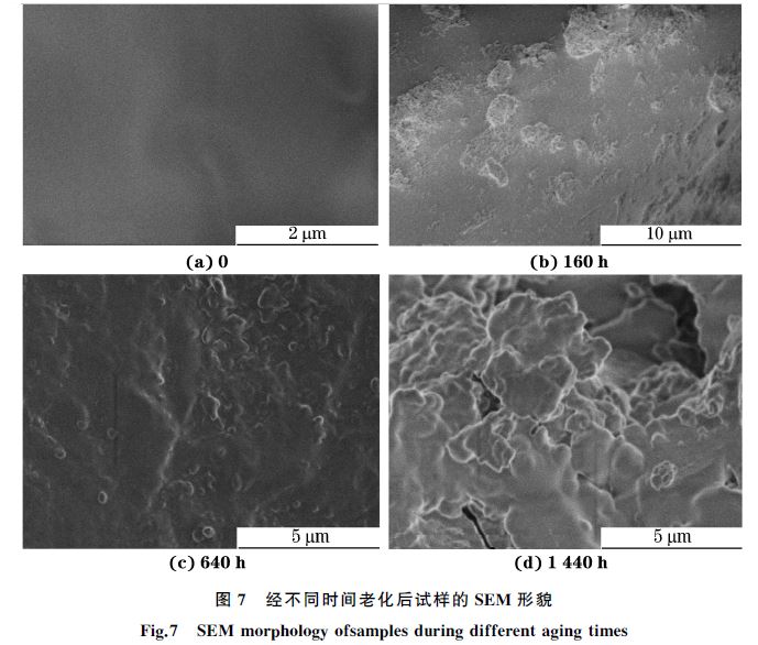圖７ 經(jīng)不同時間老化后試樣的SEM 形貌