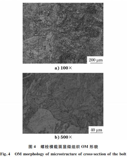 圖４ 螺栓橫截面顯微組織 OM 形貌