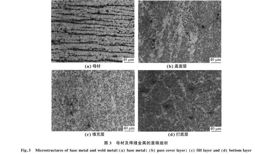 圖３ 母材及焊縫金屬的顯微組織