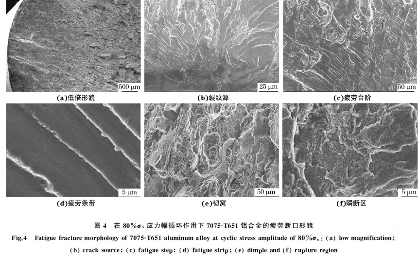 圖４ 在８０％σs 應力幅循環(huán)作用下７０７５ＧT６５１鋁合金的疲勞斷口形貌